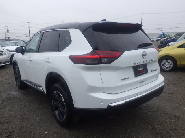 11_191617_177302204969ae2b615c524