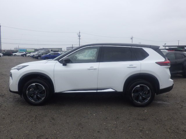 12_191617_177302205069ae2b627ad75