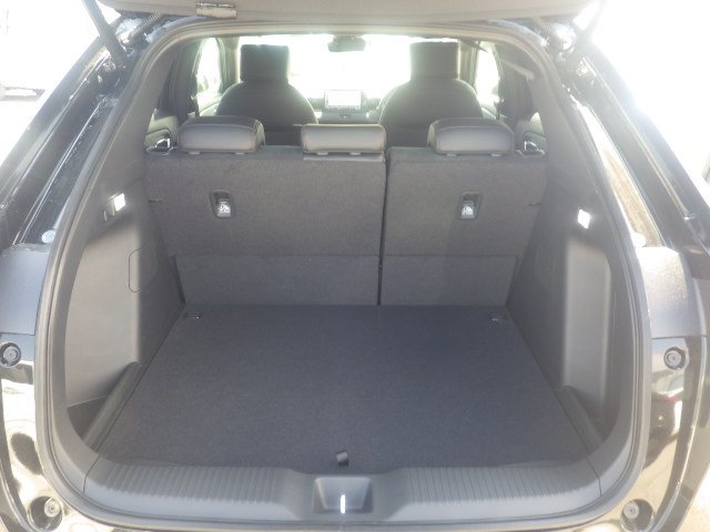 21_192235_177457497469c5dd7ecdacd