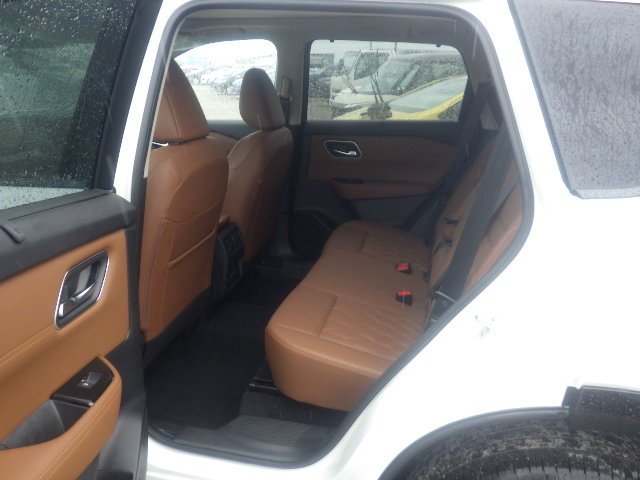 23_191617_177302206269ae2b6ed5e82