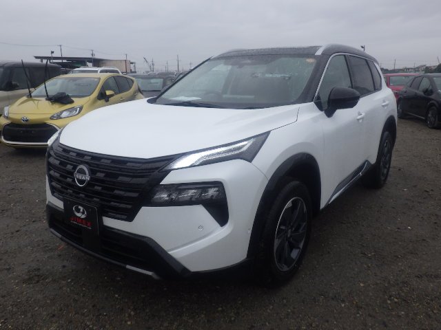 2_191617_177302203969ae2b5740cf0