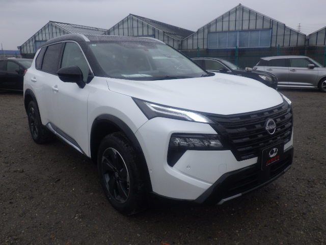 4_191617_177302204169ae2b597e4cc